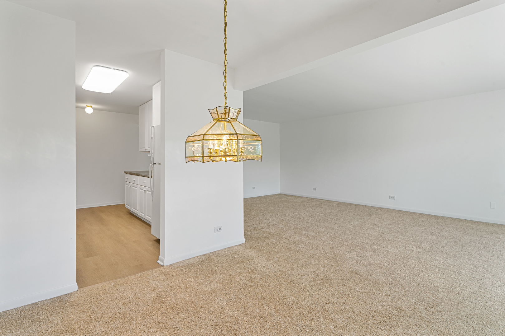 6818 Roberts Drive Woodridge IL 60517