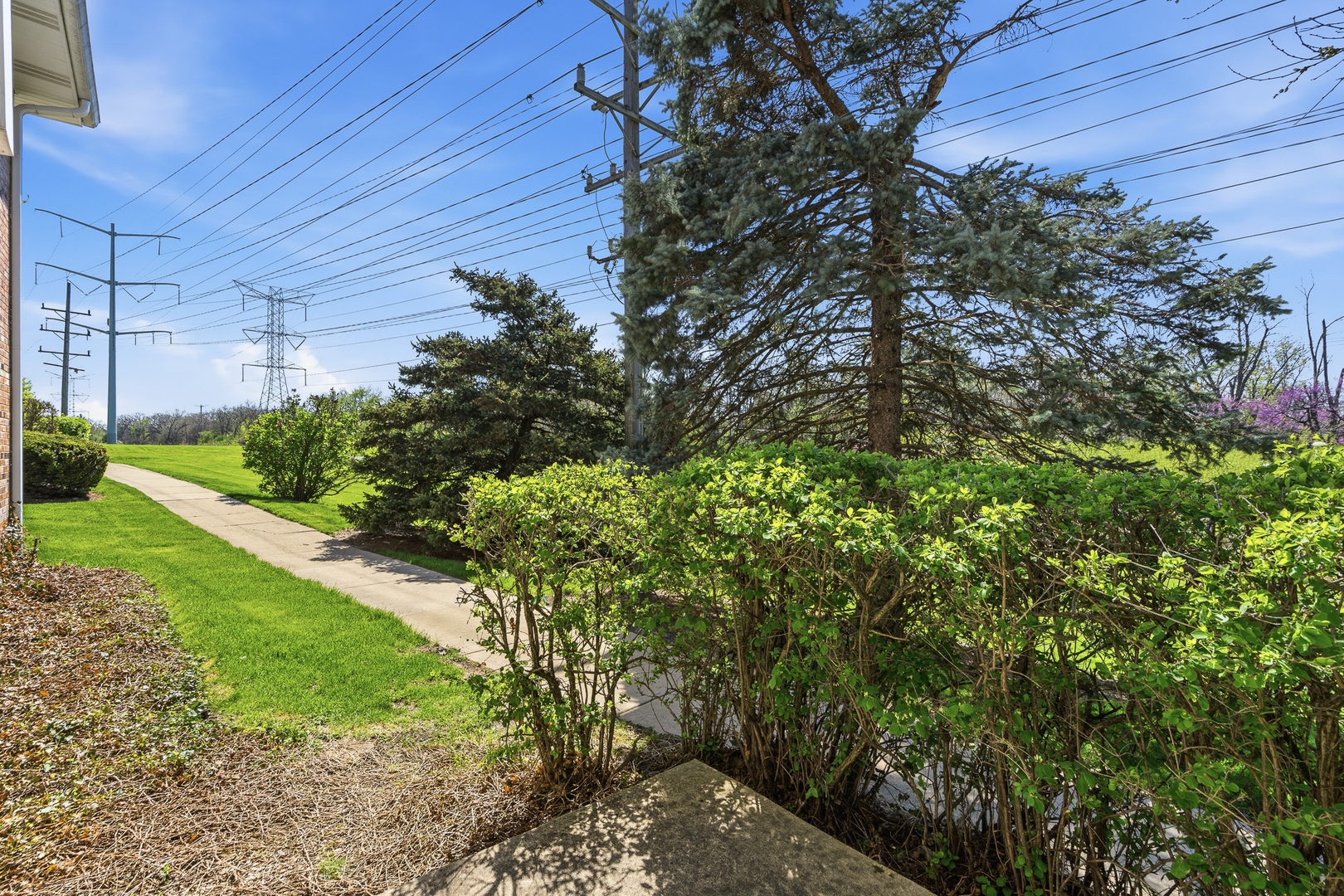 6818 Roberts Drive Woodridge IL 60517