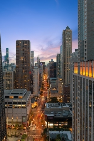 950 North Michigan Avenue Chicago IL 60611