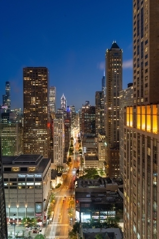 950 North Michigan Avenue Chicago IL 60611