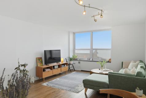 720 West Gordon Terrace Chicago IL 60613