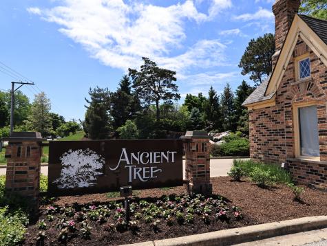 38 Ct Of Greenway Northbrook IL 60062