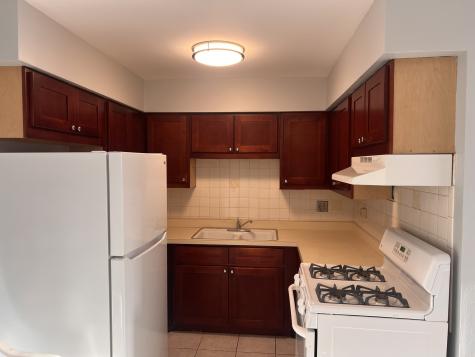 1303 North Baldwin Court Palatine IL 60074