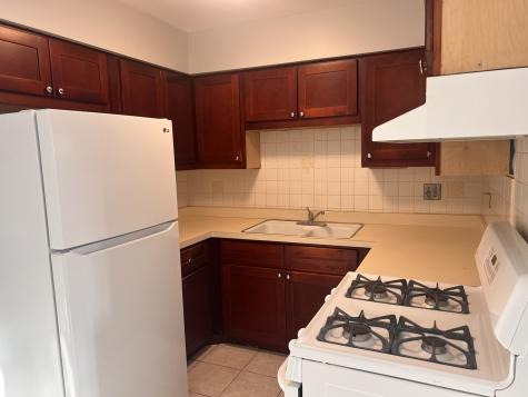 1303 North Baldwin Court Palatine IL 60074