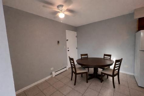 1303 North Baldwin Court Palatine IL 60074
