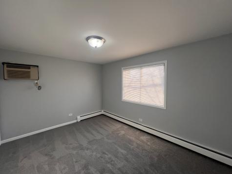 1303 North Baldwin Court Palatine IL 60074
