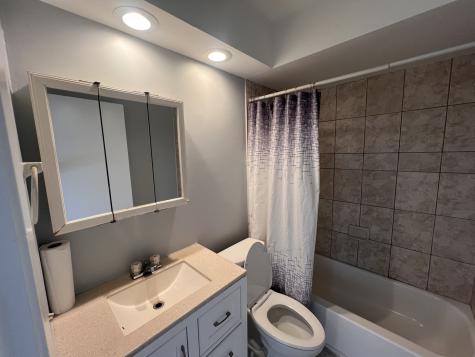 1303 North Baldwin Court Palatine IL 60074