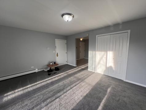 1303 North Baldwin Court Palatine IL 60074