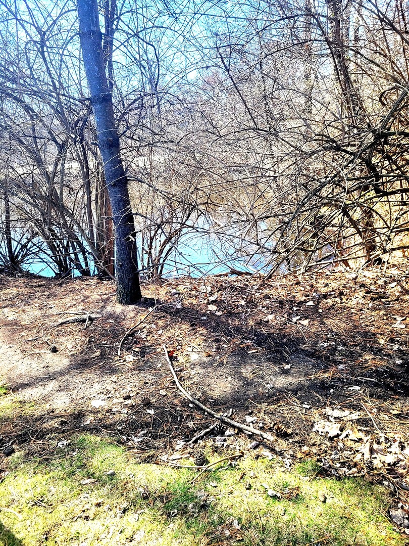 5524 East Lake Drive Lisle IL 60532
