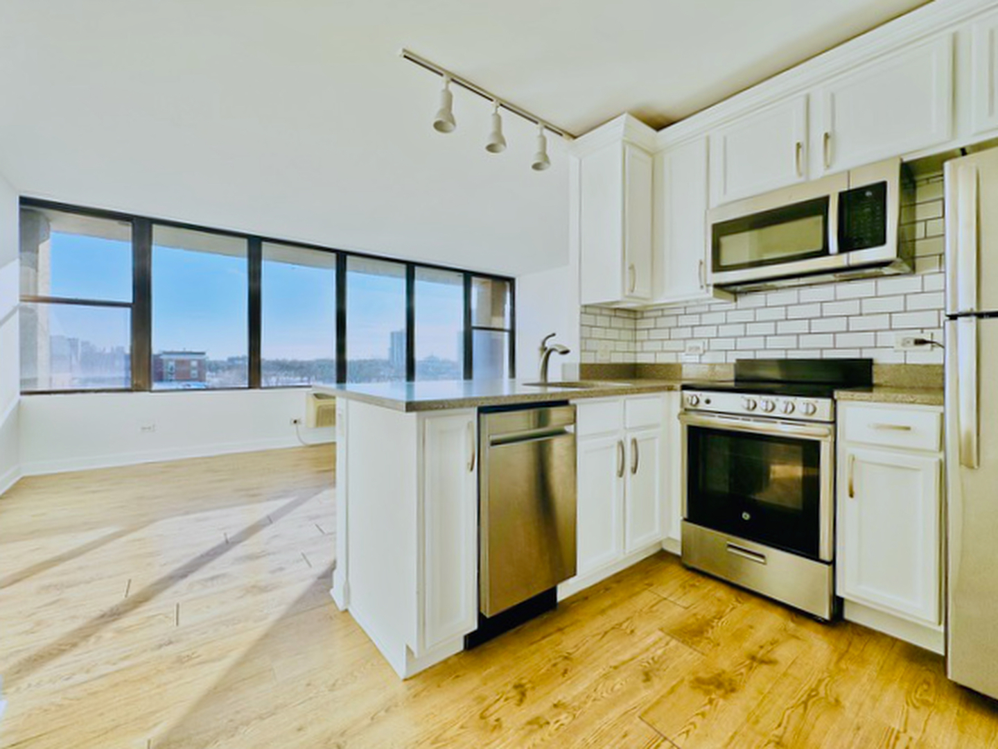 345 East Eastgate Place Chicago IL 60616