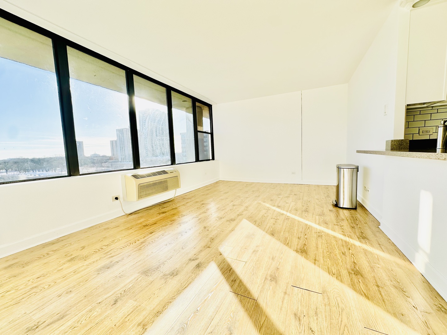 345 East Eastgate Place Chicago IL 60616