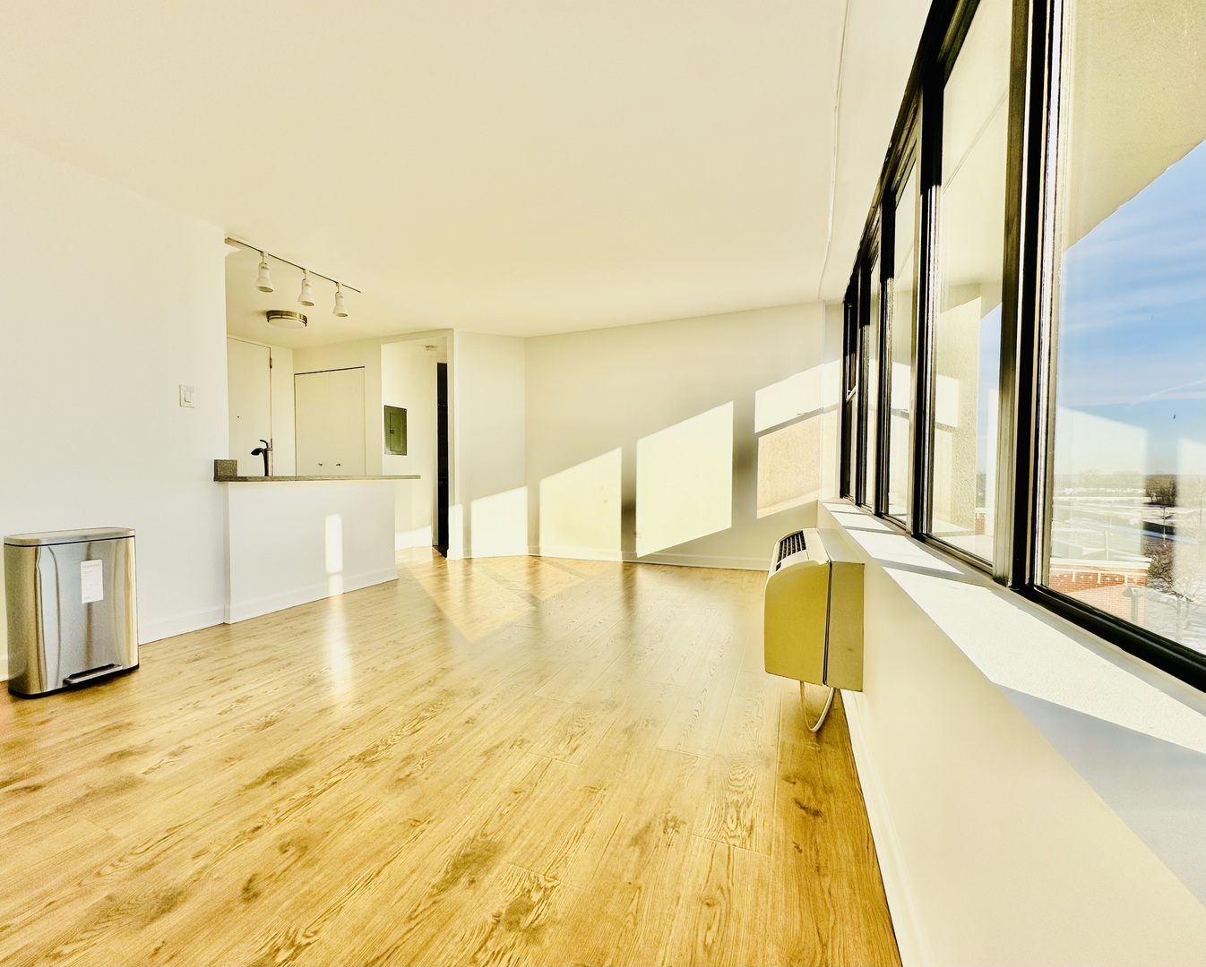 345 East Eastgate Place Chicago IL 60616
