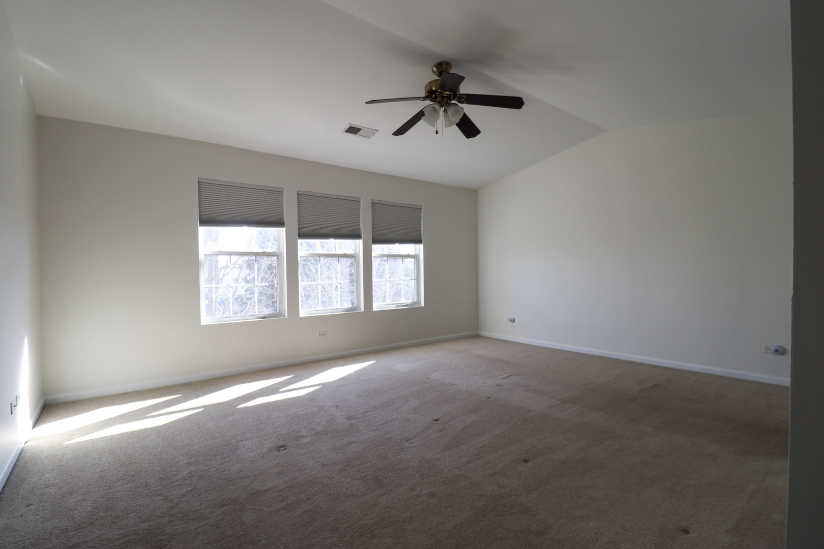 1424 Westhampton Drive Plainfield IL 60586