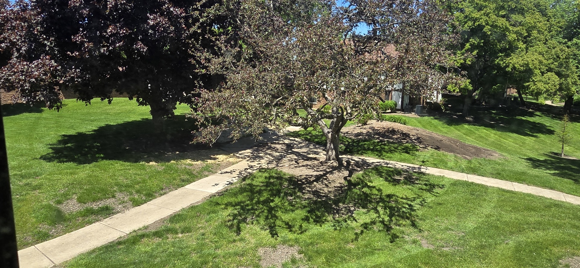 1751 Plymouth Court Wheaton IL 60189
