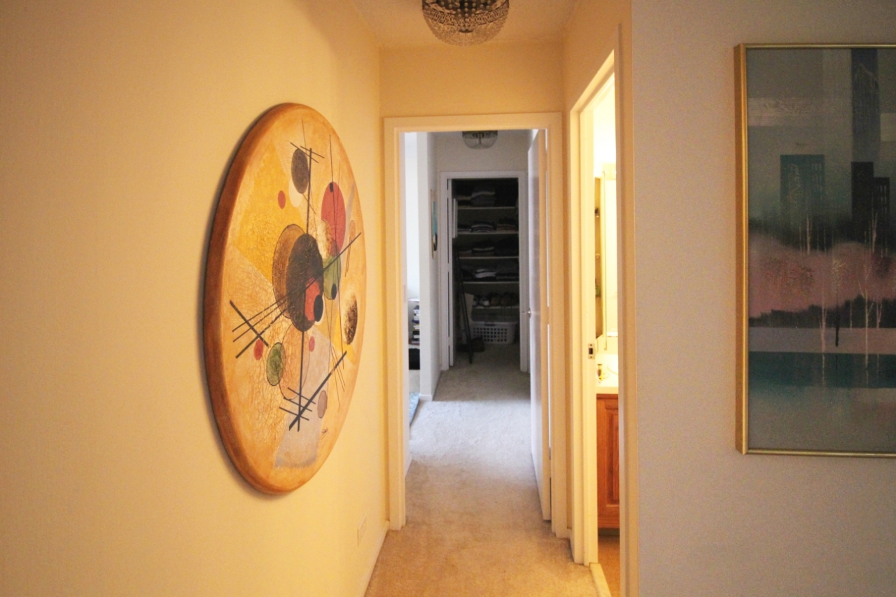 801 South Plymouth Court Chicago IL 60605