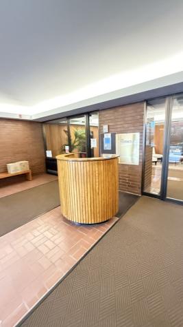 801 South Plymouth Court Chicago IL 60605