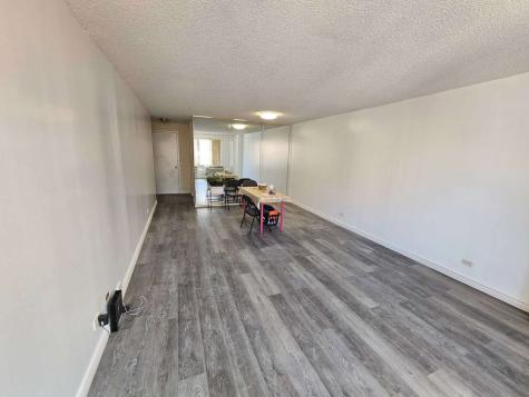 801 South Plymouth Court Chicago IL 60605