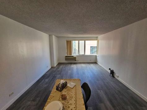 801 South Plymouth Court Chicago IL 60605