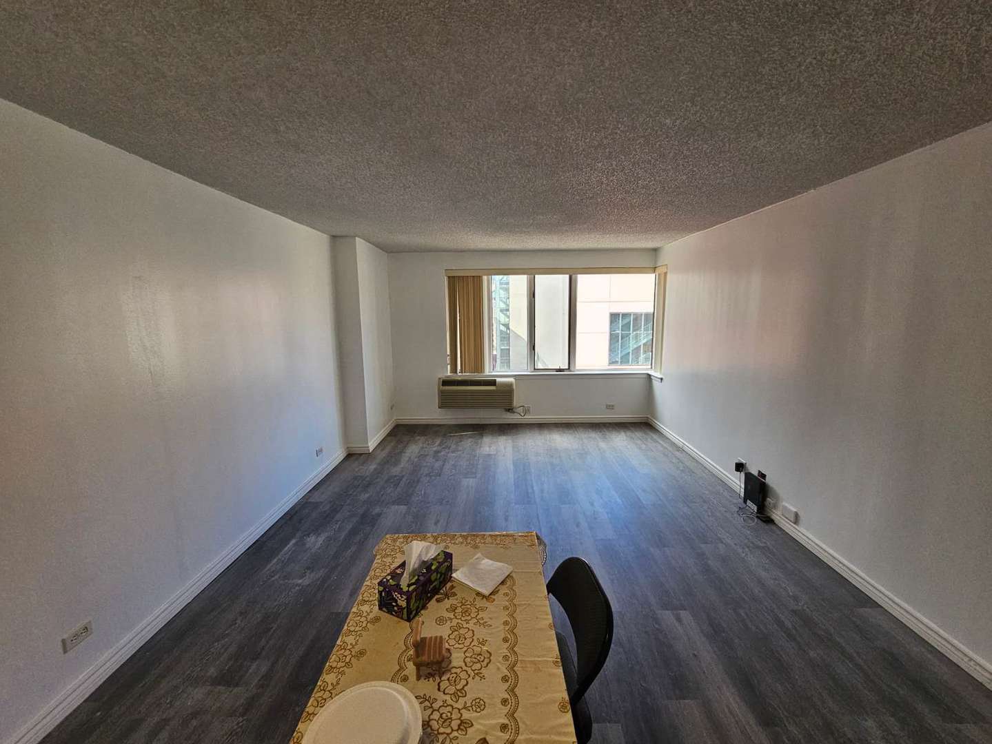 801 South Plymouth Court Chicago IL 60605