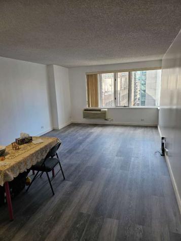 801 South Plymouth Court Chicago IL 60605
