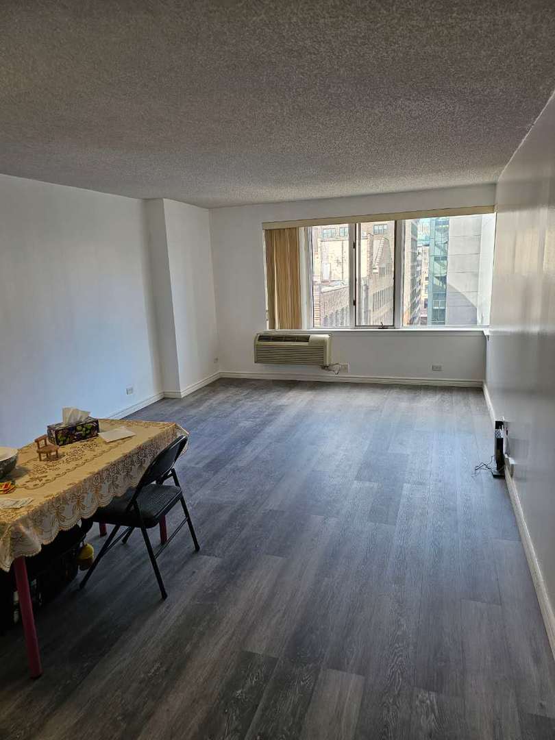 801 South Plymouth Court Chicago IL 60605