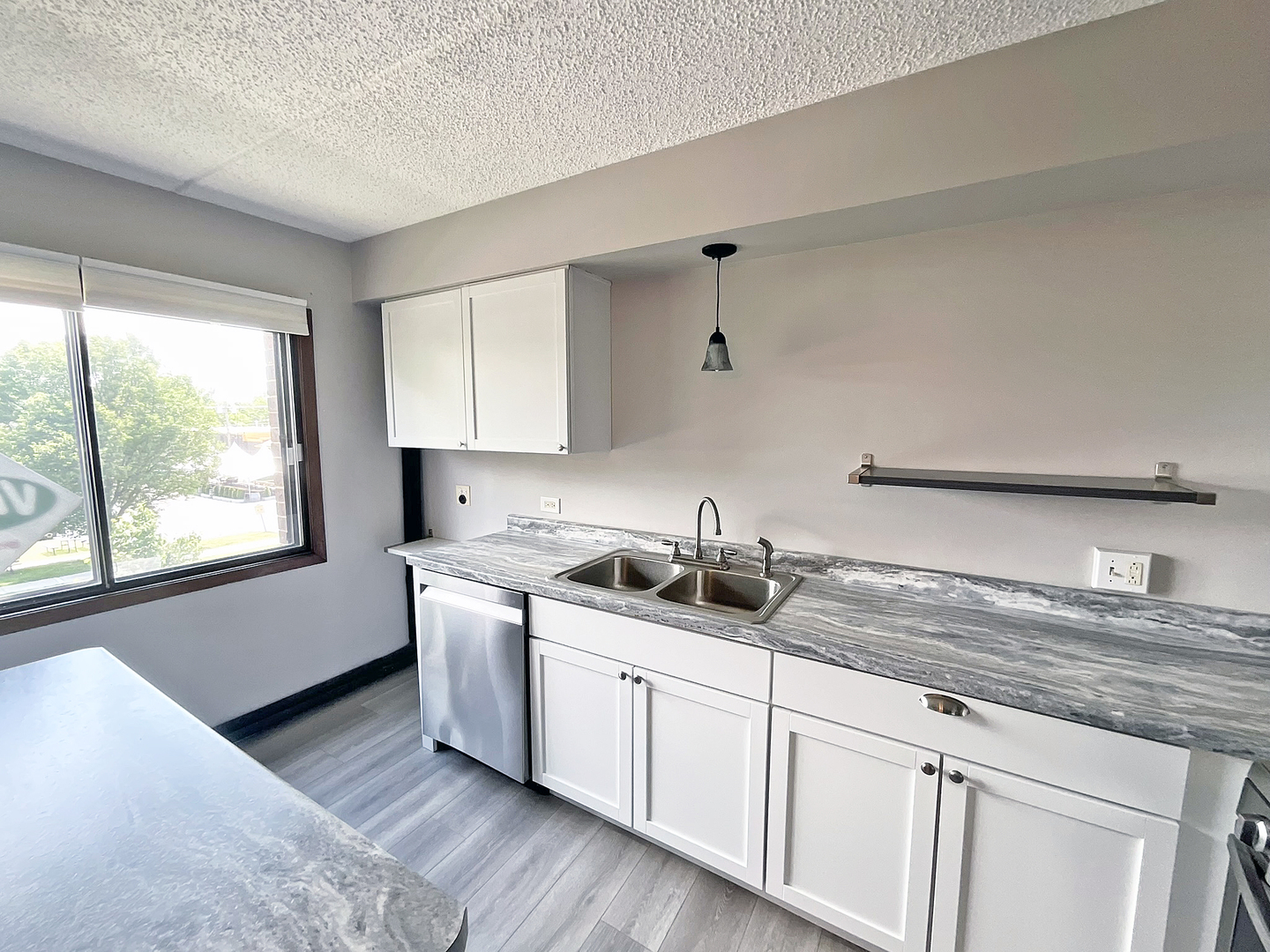 4946 Douglas Road Downers Grove IL 60515
