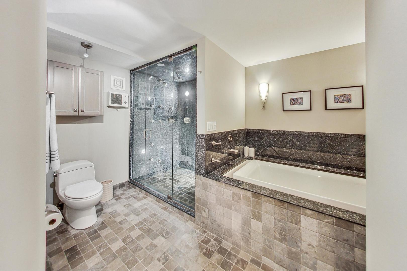 505 North Lake Shore Drive Chicago IL 60611