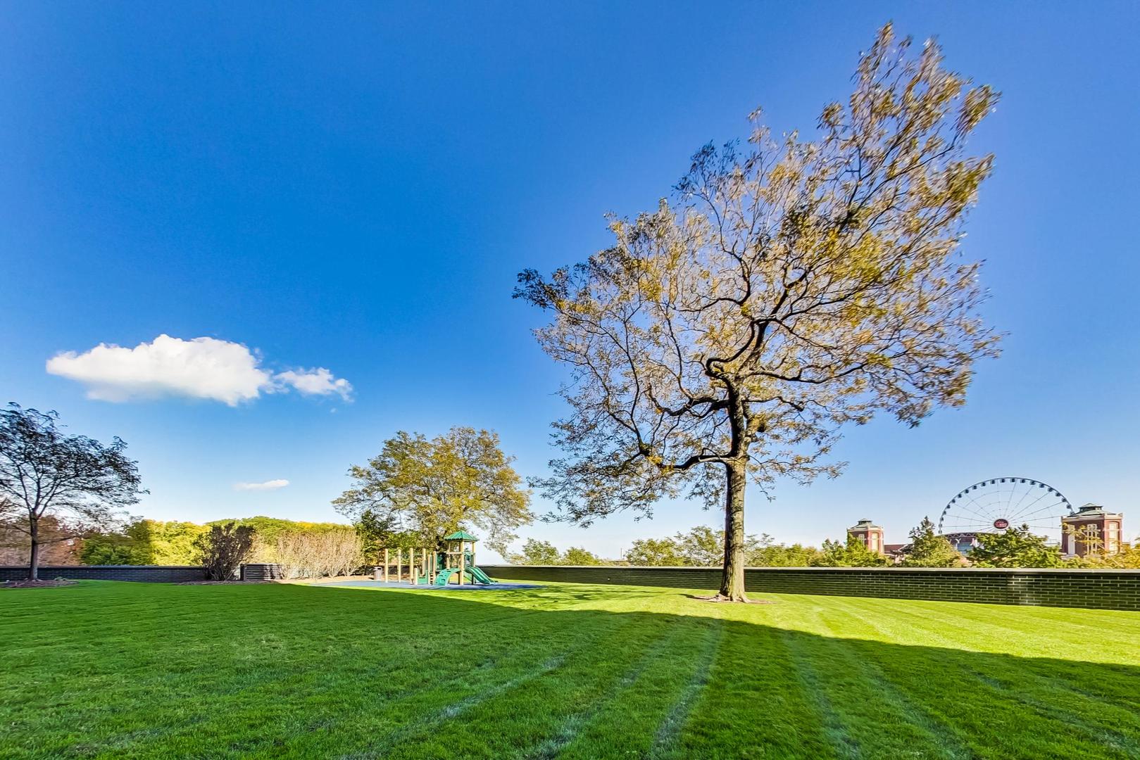 505 North Lake Shore Drive Chicago IL 60611