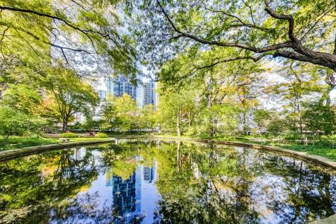 505 North Lake Shore Drive Chicago IL 60611