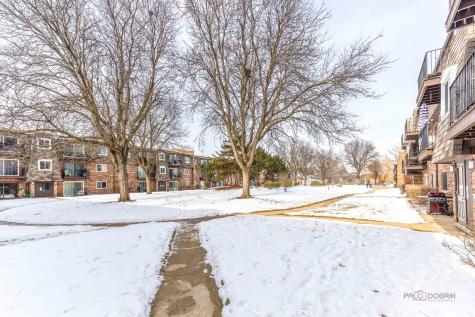 9396 Bay Colony Drive Des Plaines IL 60016