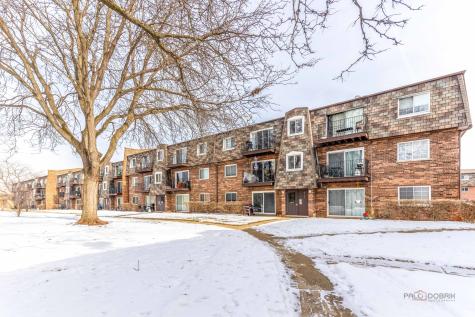 9396 Bay Colony Drive Des Plaines IL 60016