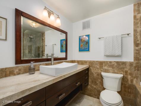 505 North Lake Shore Drive Chicago IL 60611