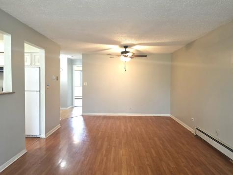 12 Parkside Court Vernon Hills IL 60061