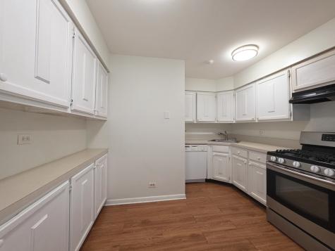 12 Parkside Court Vernon Hills IL 60061