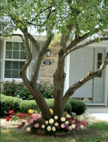 1254 Ballantrae Place Mundelein IL 60060