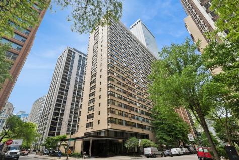 850 North Dewitt Place Chicago IL 60611