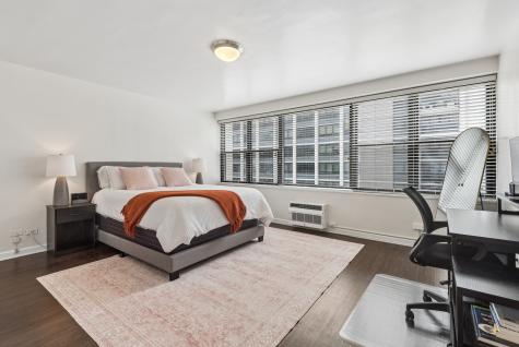 850 North Dewitt Place Chicago IL 60611