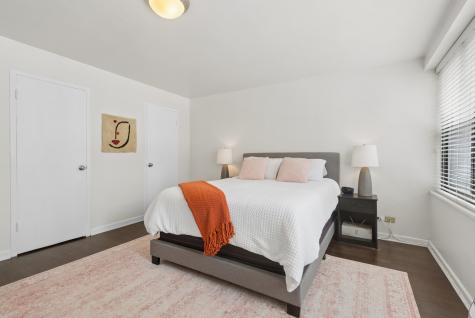 850 North Dewitt Place Chicago IL 60611