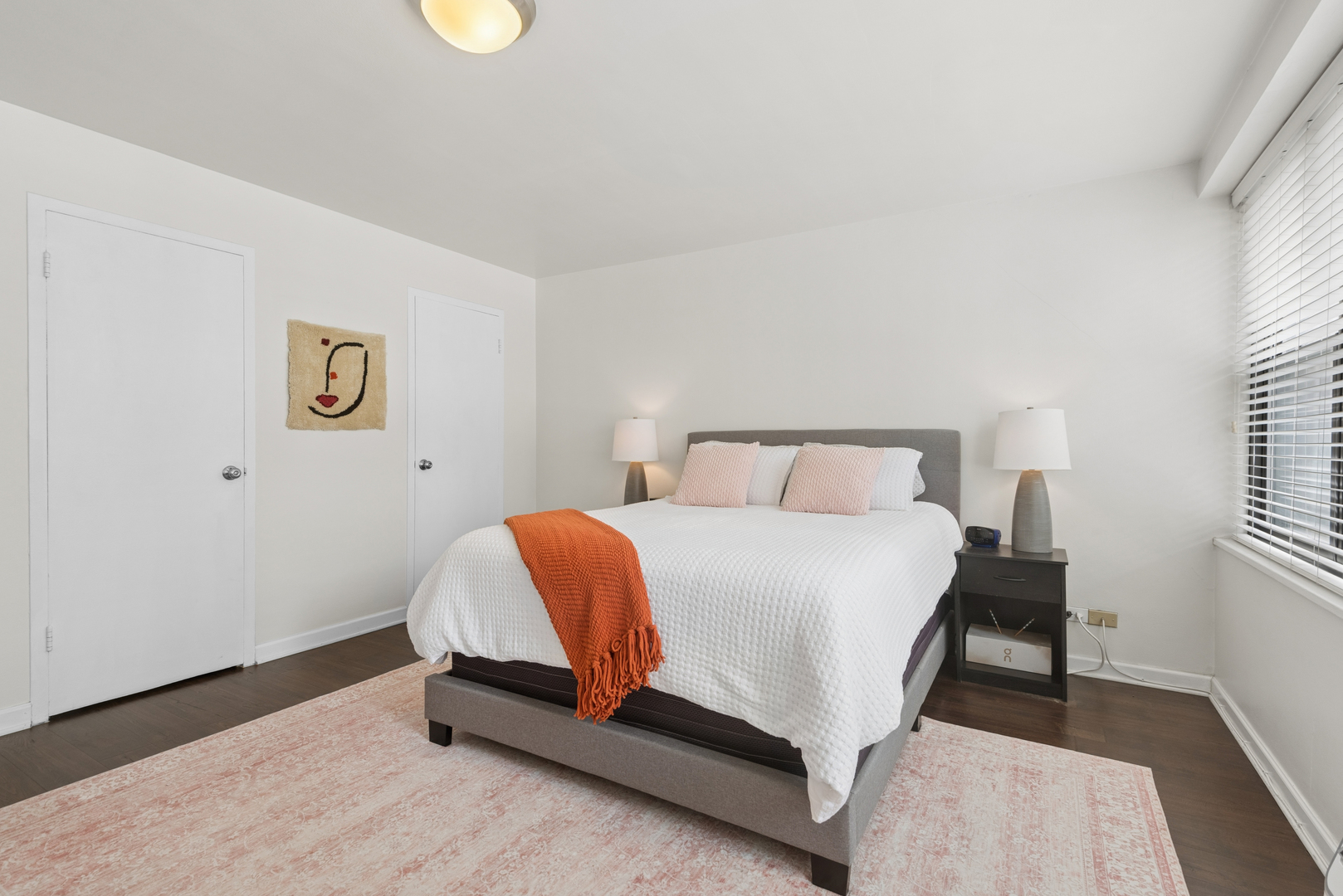 850 North Dewitt Place Chicago IL 60611