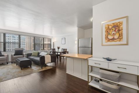 850 North Dewitt Place Chicago IL 60611
