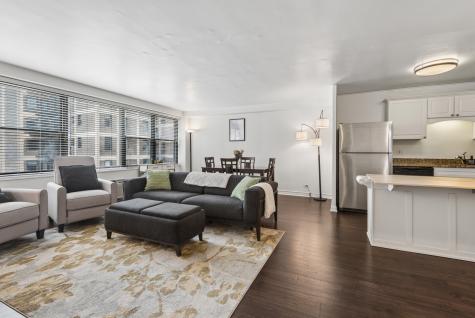 850 North Dewitt Place Chicago IL 60611