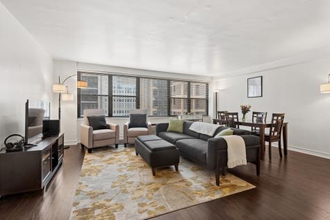 850 North Dewitt Place Chicago IL 60611