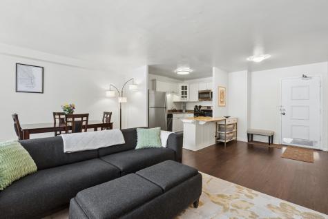 850 North Dewitt Place Chicago IL 60611
