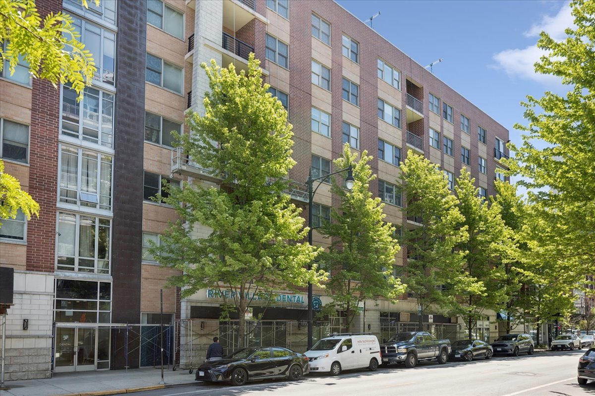 873 North Larrabee Street Chicago IL 60610