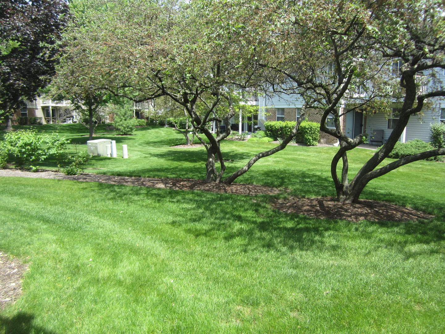 2862 Meadow Lane Schaumburg IL 60193