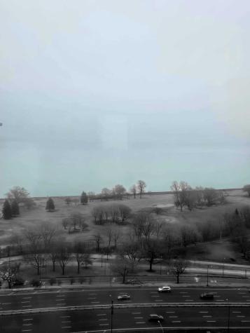 3950 North Lake Shore Drive Chicago IL 60613
