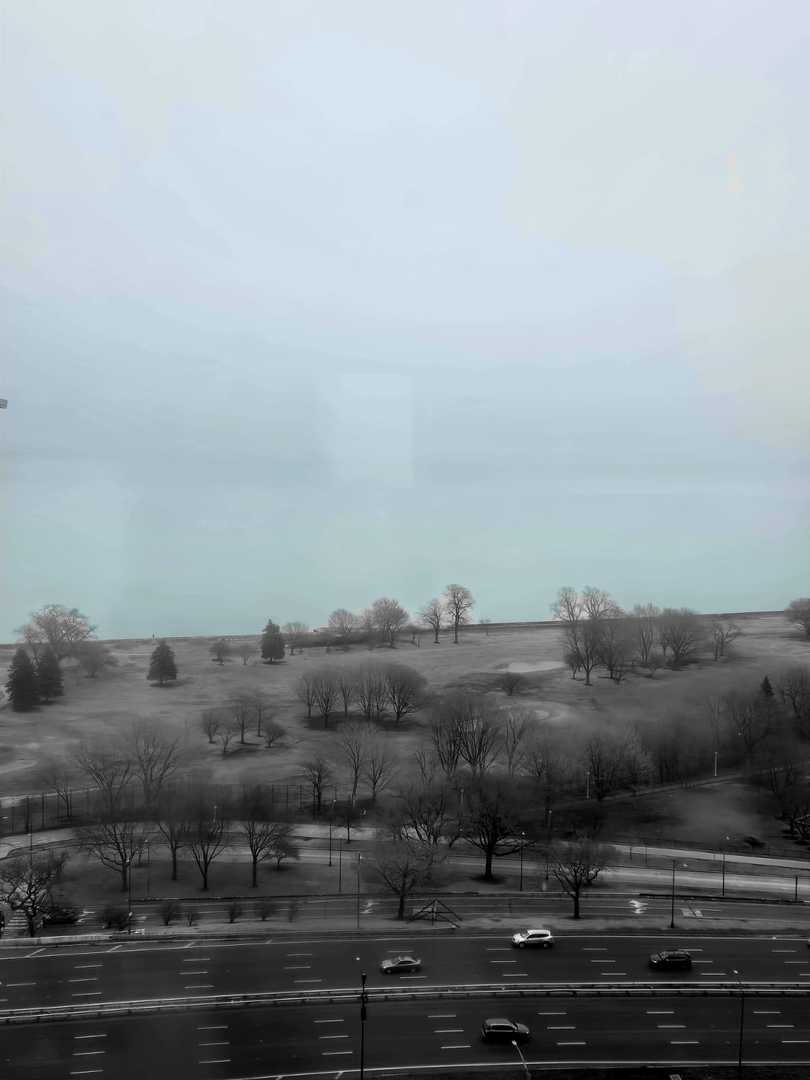 3950 North Lake Shore Drive Chicago IL 60613