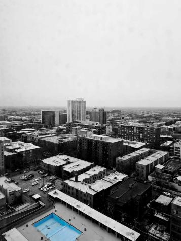 3950 North Lake Shore Drive Chicago IL 60613
