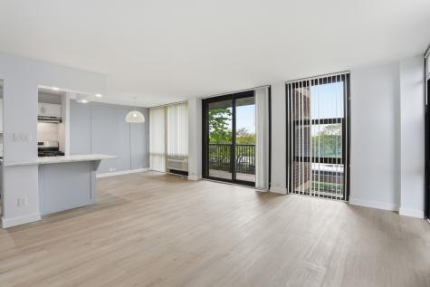 3021 South Michigan Avenue Chicago IL 60616