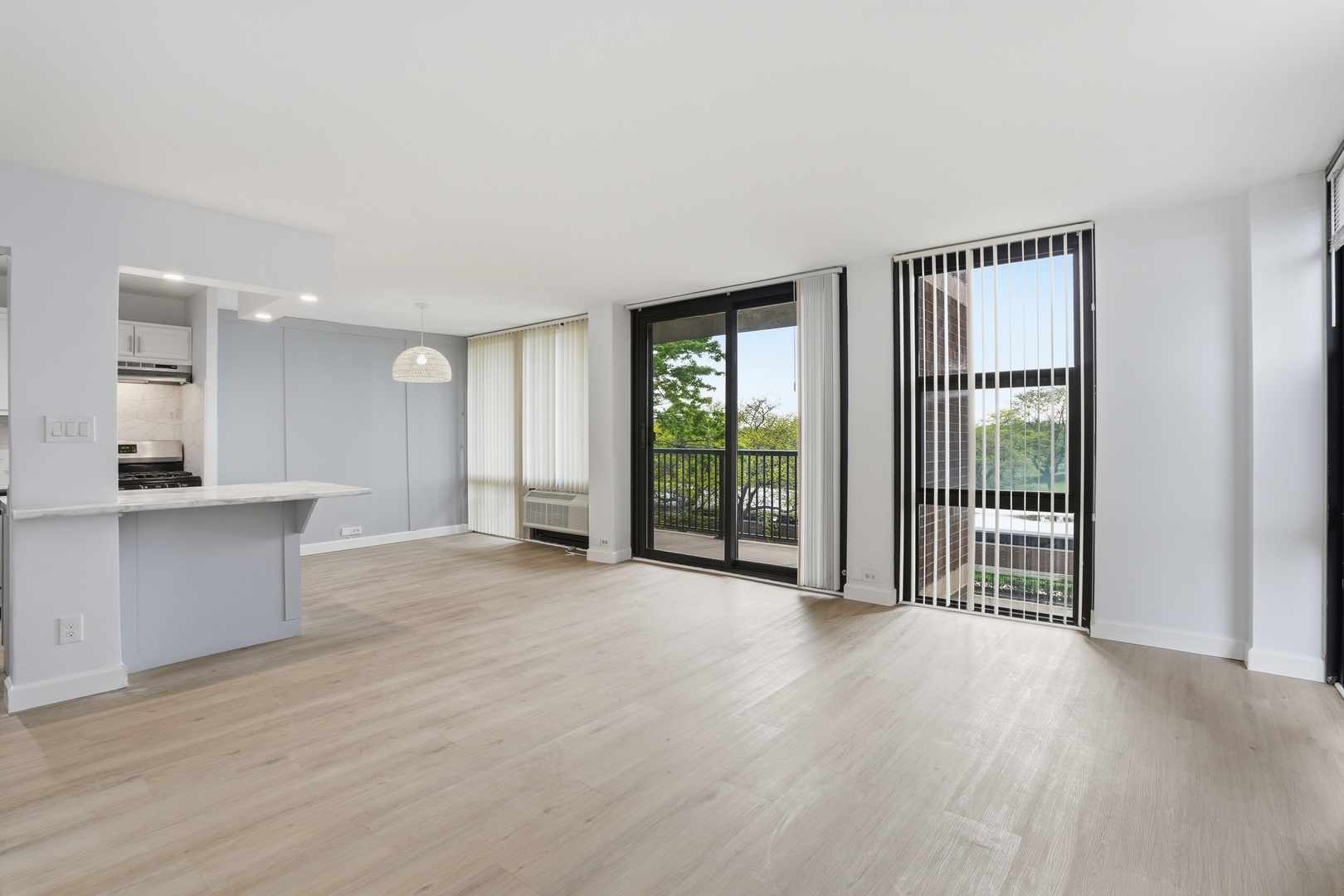3021 South Michigan Avenue Chicago IL 60616